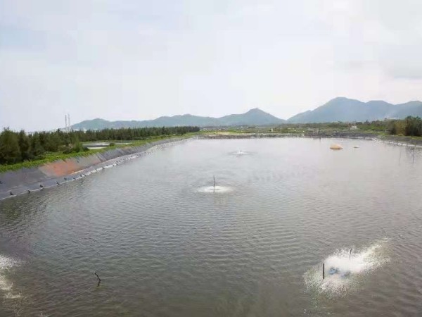 淺要分析氨氮毒理?。?！