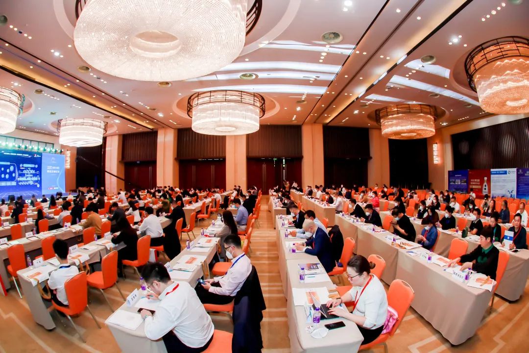 202302271345007896.jpg 202302271345007896.jpg